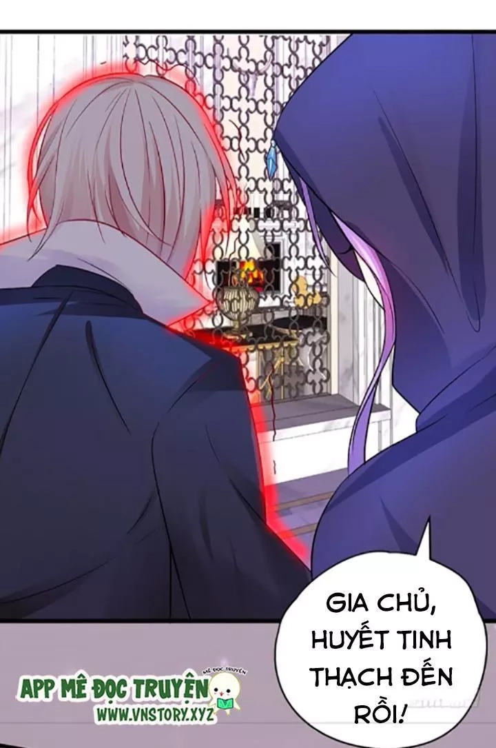Huyết Tộc Đáng Yêu Chapter 85 - 31