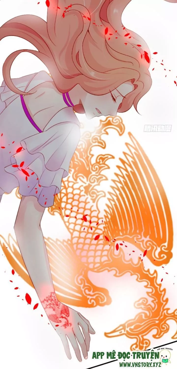 Huyết Tộc Đáng Yêu Chapter 97 - 72