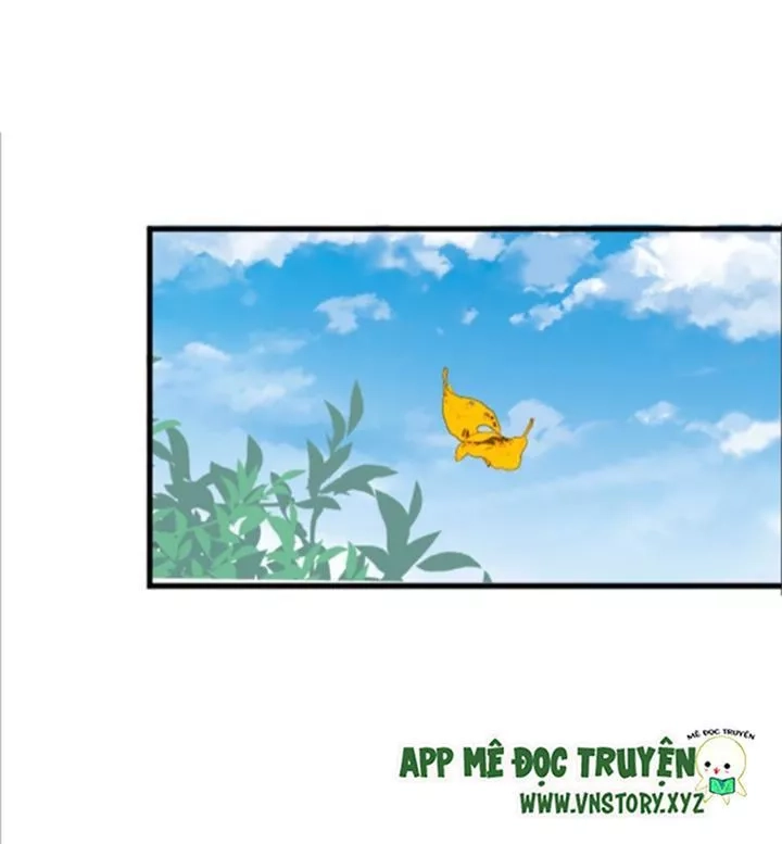 Huyết Tộc Đáng Yêu Chapter 98 - 68