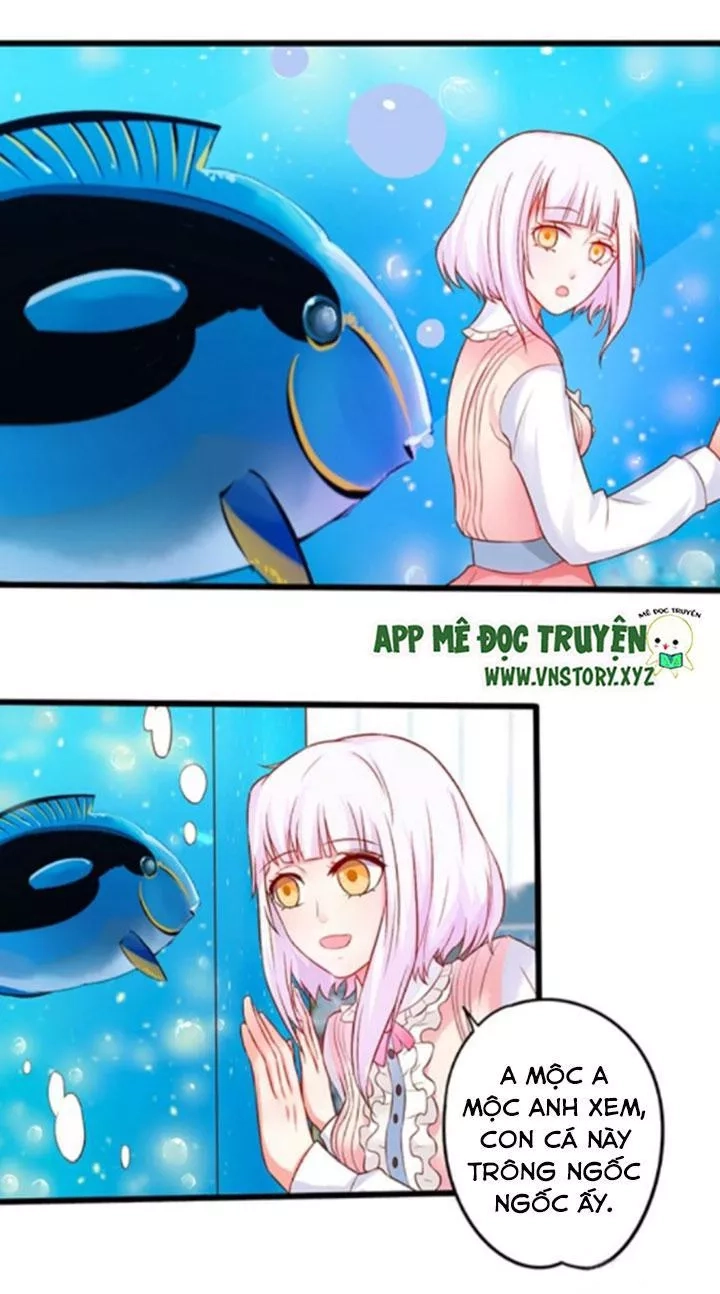 Huyết Tộc Đáng Yêu Chapter 107 - 26