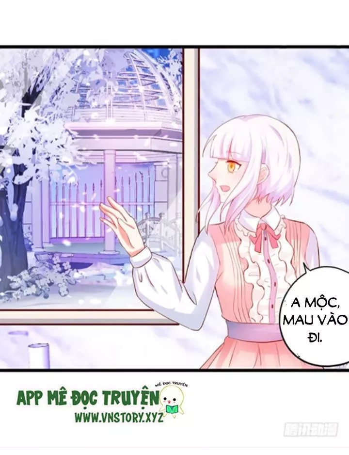 Huyết Tộc Đáng Yêu Chapter 109 - 63