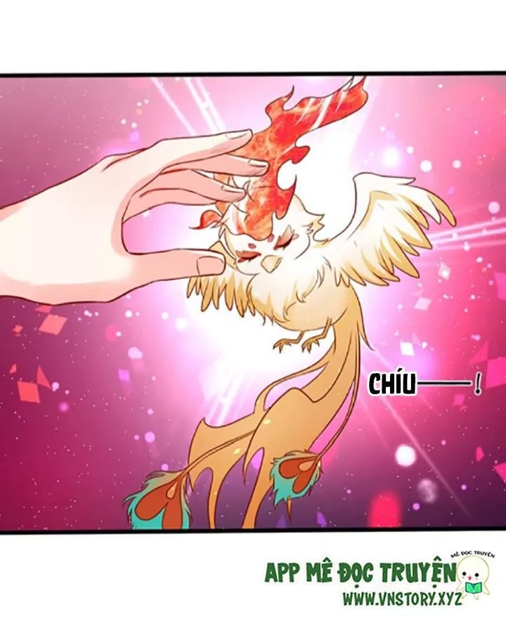 Huyết Tộc Đáng Yêu Chapter 114 - 18