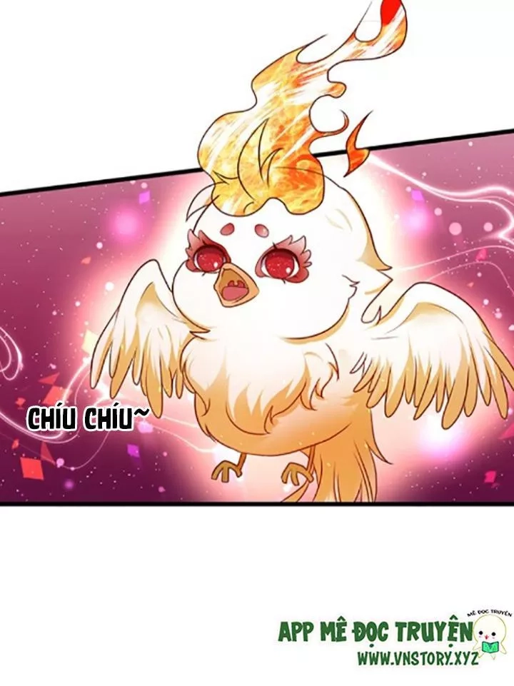 Huyết Tộc Đáng Yêu Chapter 114 - 20