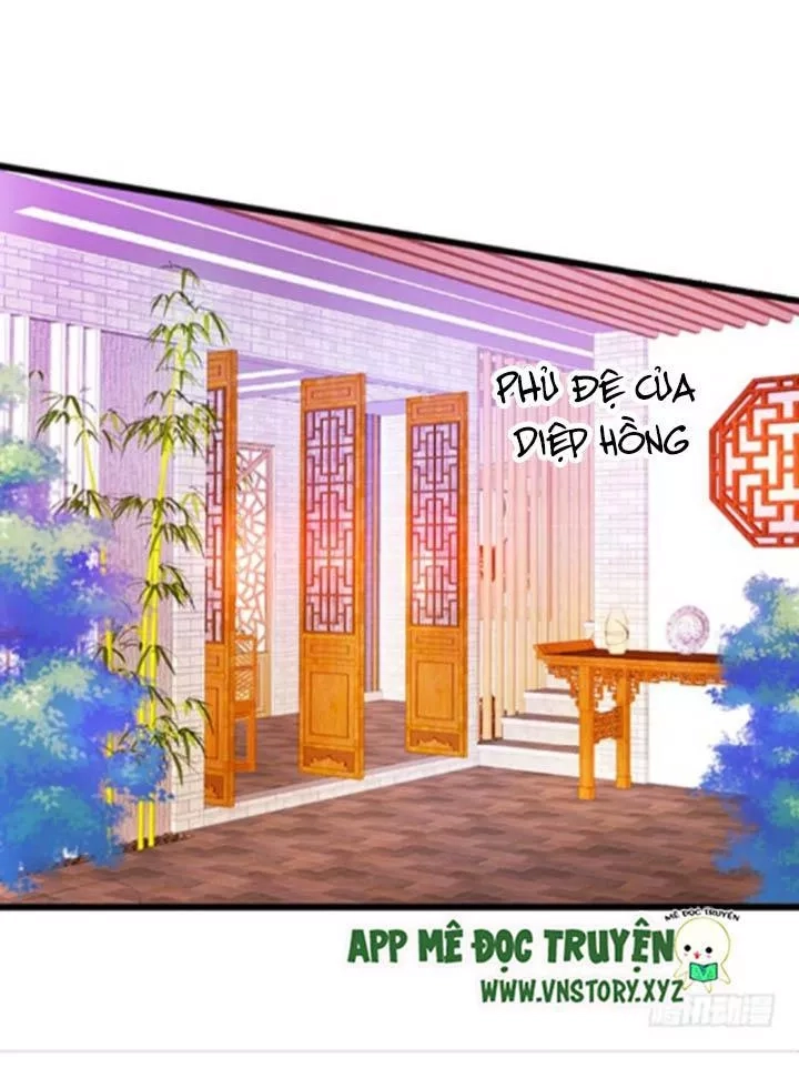 Huyết Tộc Đáng Yêu Chapter 116 - 24