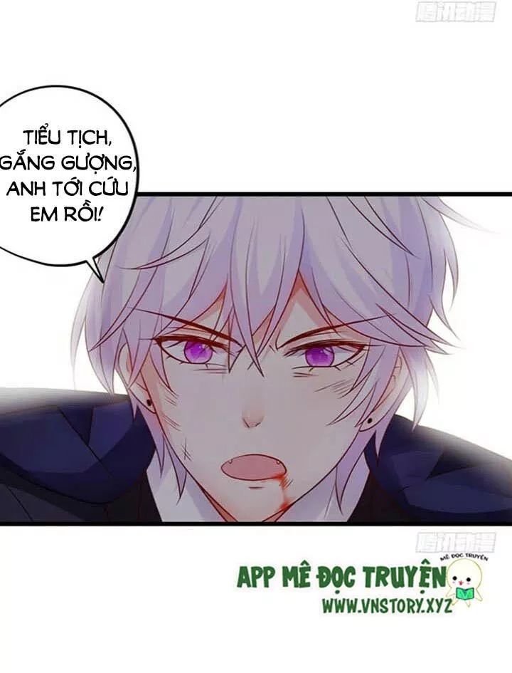 Huyết Tộc Đáng Yêu Chapter 123 - 49