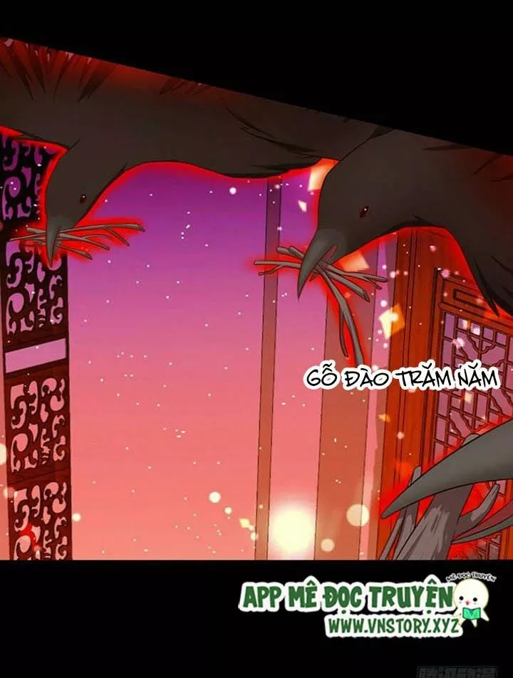 Huyết Tộc Đáng Yêu Chapter 125 - 34