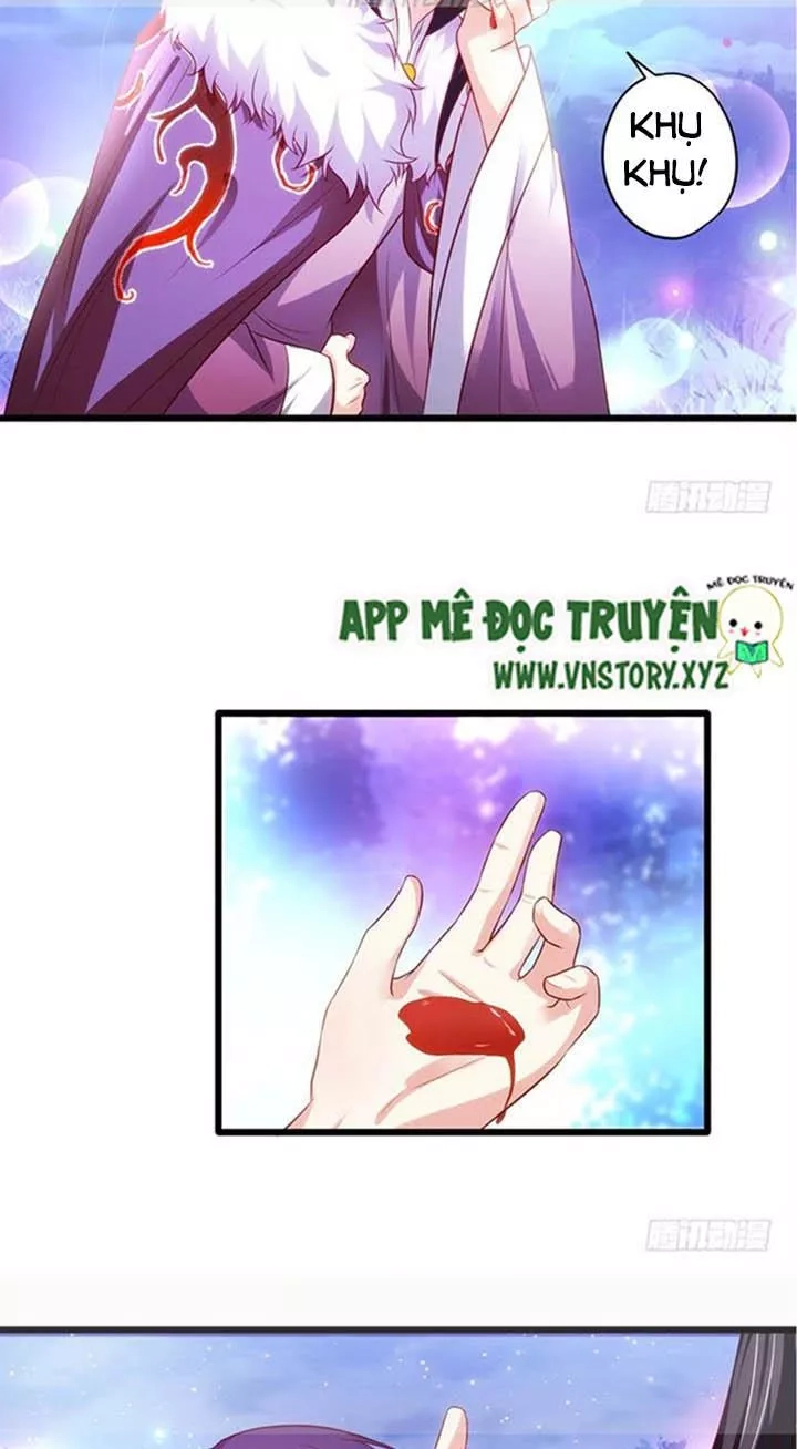 Huyết Tộc Đáng Yêu Chapter 135 - 36