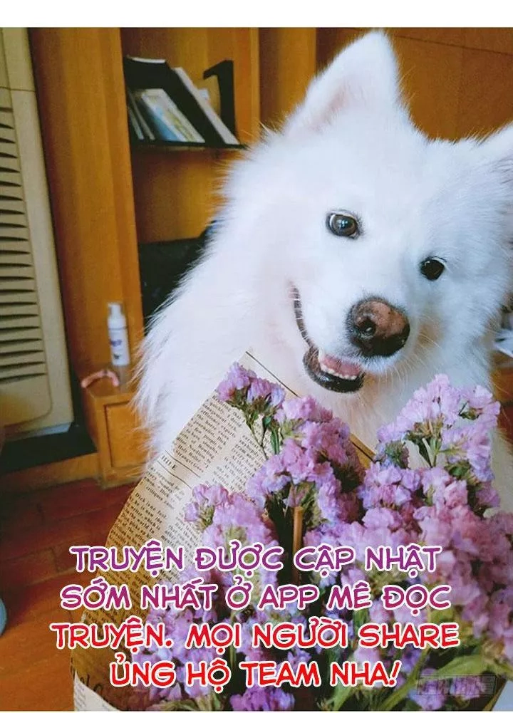 Huyết Tộc Đáng Yêu Chapter 137 - 50