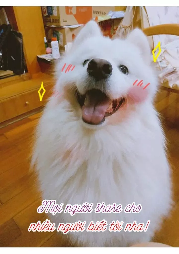 Huyết Tộc Đáng Yêu Chapter 138 - 30