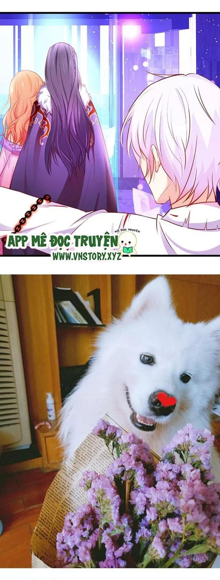 Huyết Tộc Đáng Yêu Chapter 139 - 44