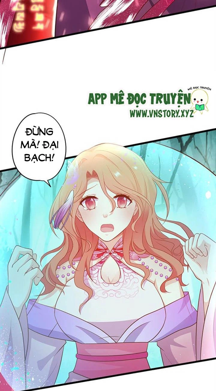 Huyết Tộc Đáng Yêu Chapter 146 - 47