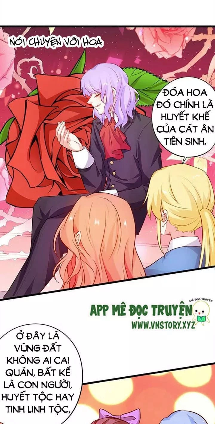 Huyết Tộc Đáng Yêu Chapter 155 - 34