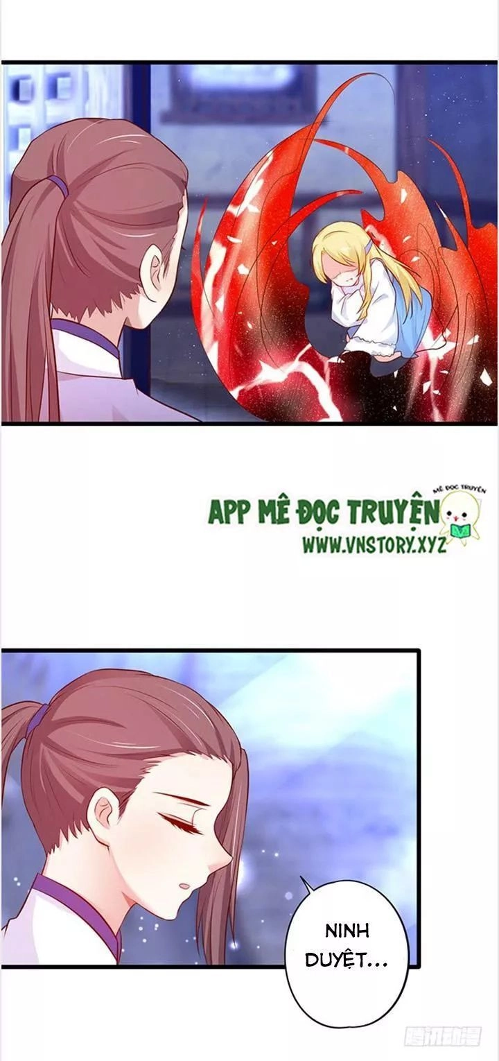 Huyết Tộc Đáng Yêu Chapter 162 - 15