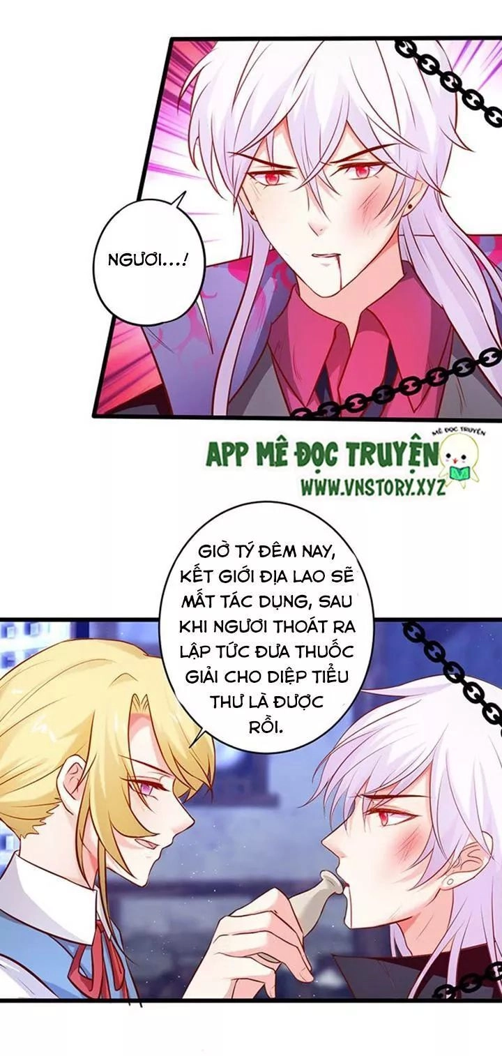 Huyết Tộc Đáng Yêu Chapter 172 - 23