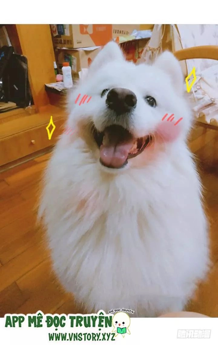 Huyết Tộc Đáng Yêu Chapter 176 - 61