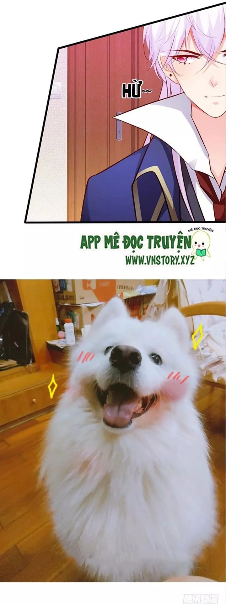 Huyết Tộc Đáng Yêu Chapter 184 - 46