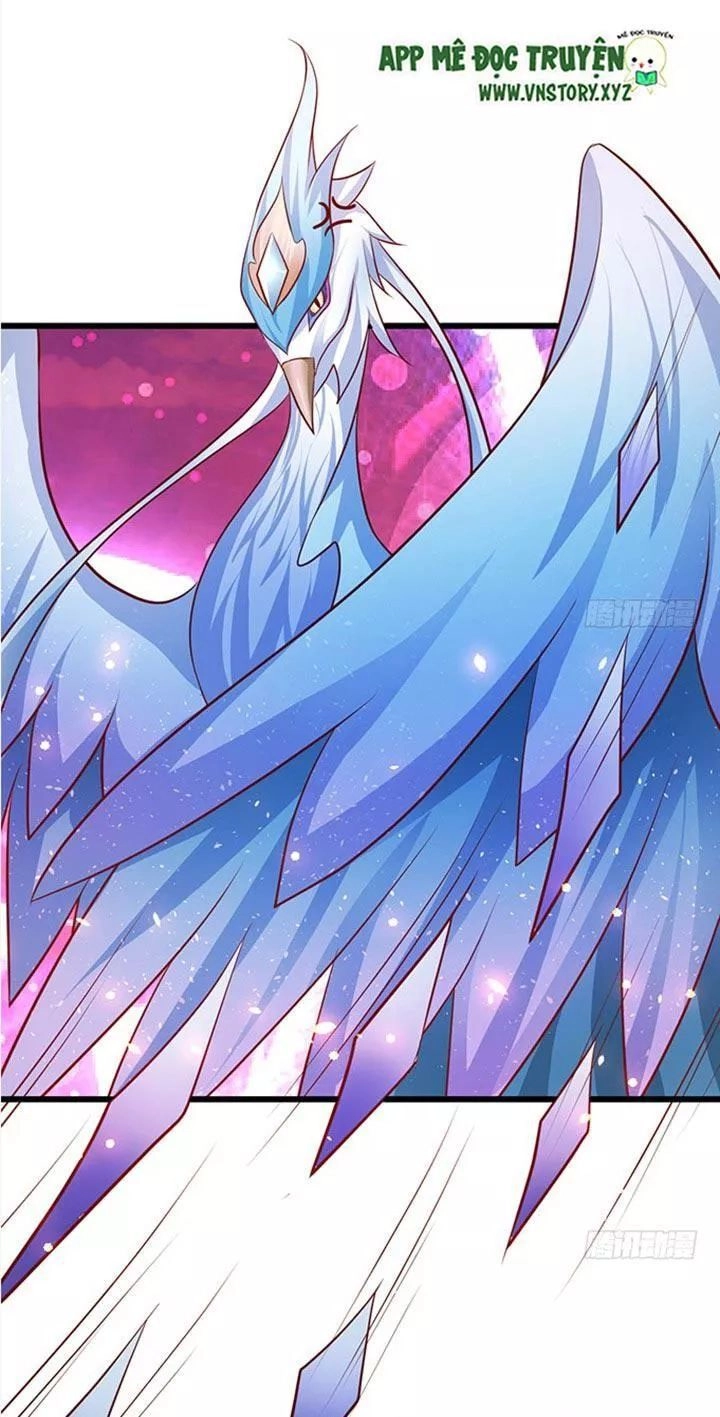 Huyết Tộc Đáng Yêu Chapter 198 - 17