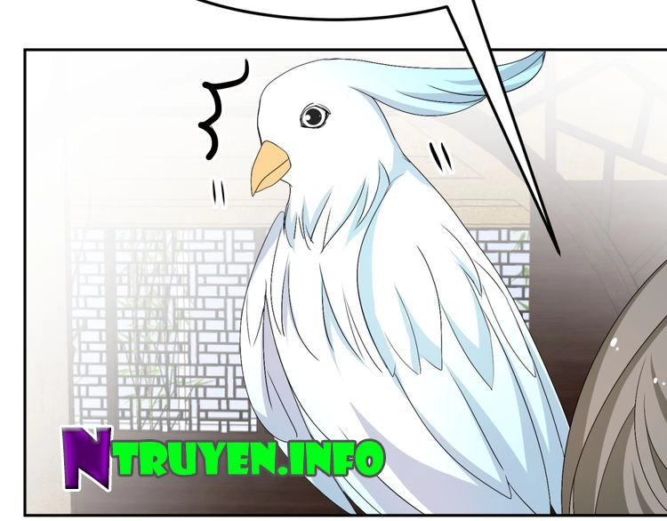 Xuyên Việt Chi Thiên Tâm Linh Chapter 24 - 20