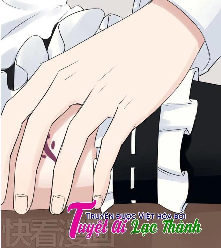 Nụ Hôn Hắc Vũ Chapter 17 - 7