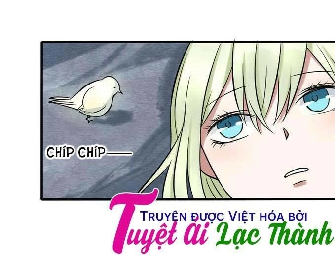 Nụ Hôn Hắc Vũ Chapter 26 - 45