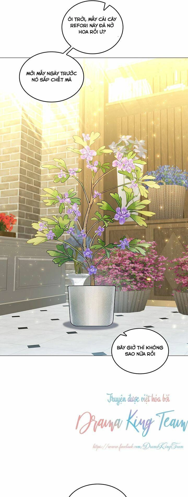 Tôi Sẽ Không Hối Tiếc Vì Anh Đâu Chapter 34 - 14