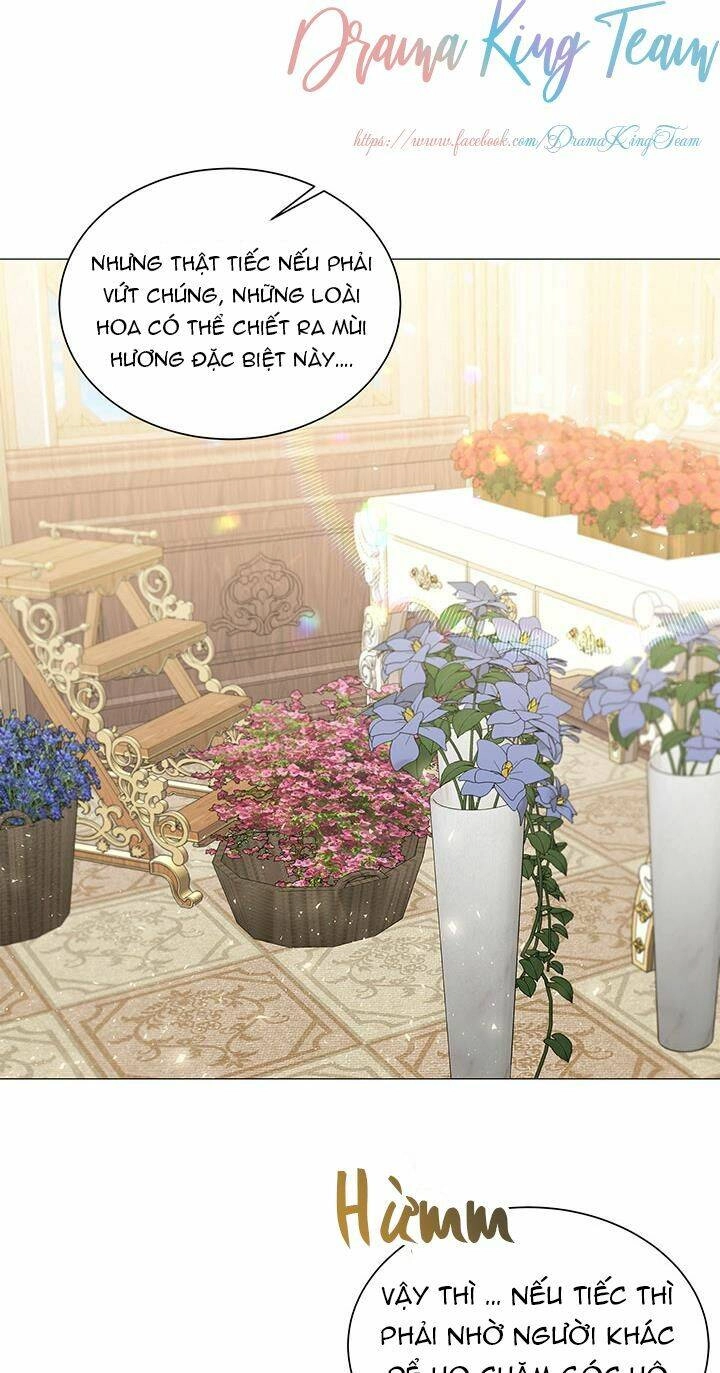 Tôi Sẽ Không Hối Tiếc Vì Anh Đâu Chapter 37 - 34