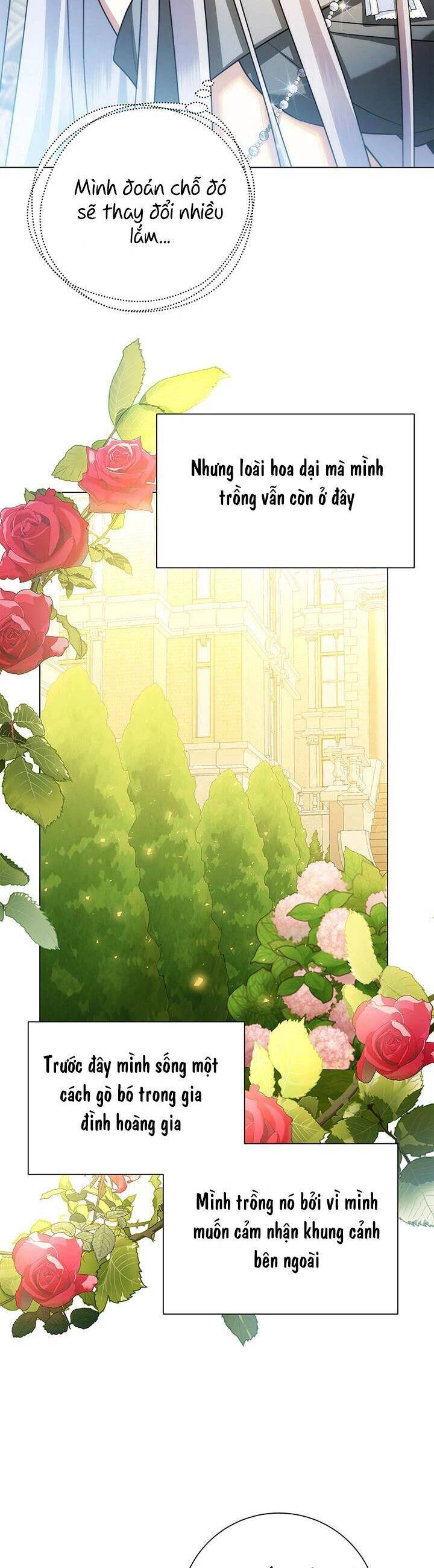 Tôi Sẽ Không Hối Tiếc Vì Anh Đâu Chapter 73 - 16