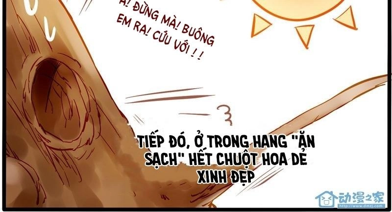 Hằng Mộng Nam Thần Chapter 8 - 19