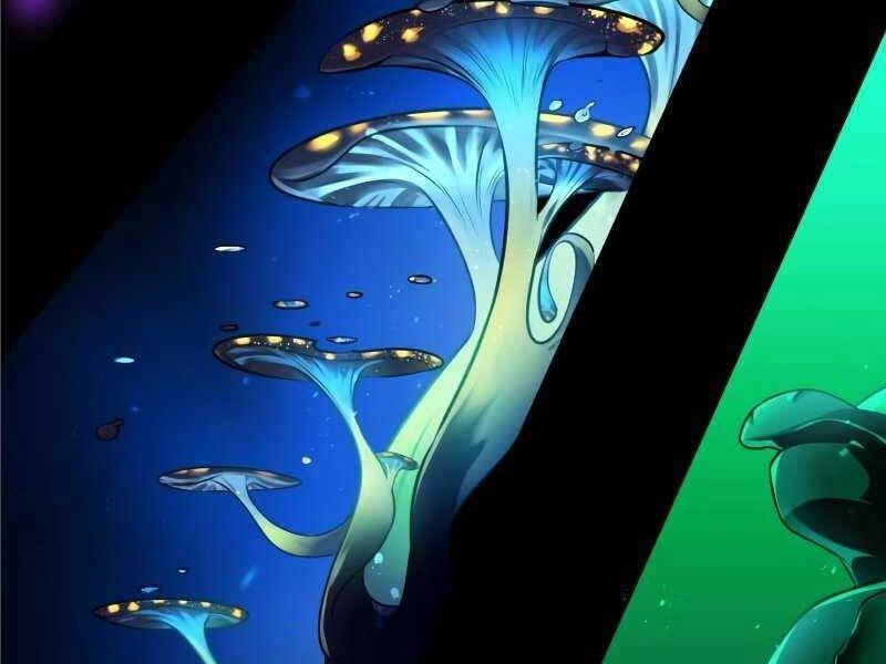 Thiên Tài Của Dòng Dõi Độc Nhất Vô Nhị Chapter 2 - 242