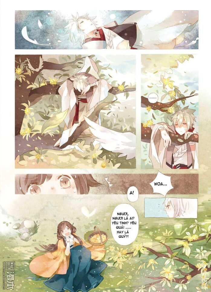 Kim Quế Hoa Cao Chapter 1 - 2