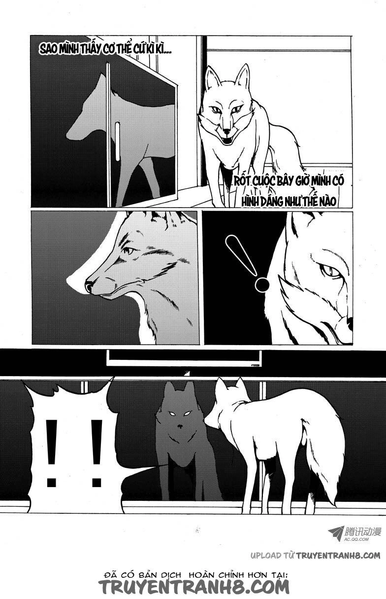 Nhân Quả Tuần Hoàn Chapter 16.2 - 6