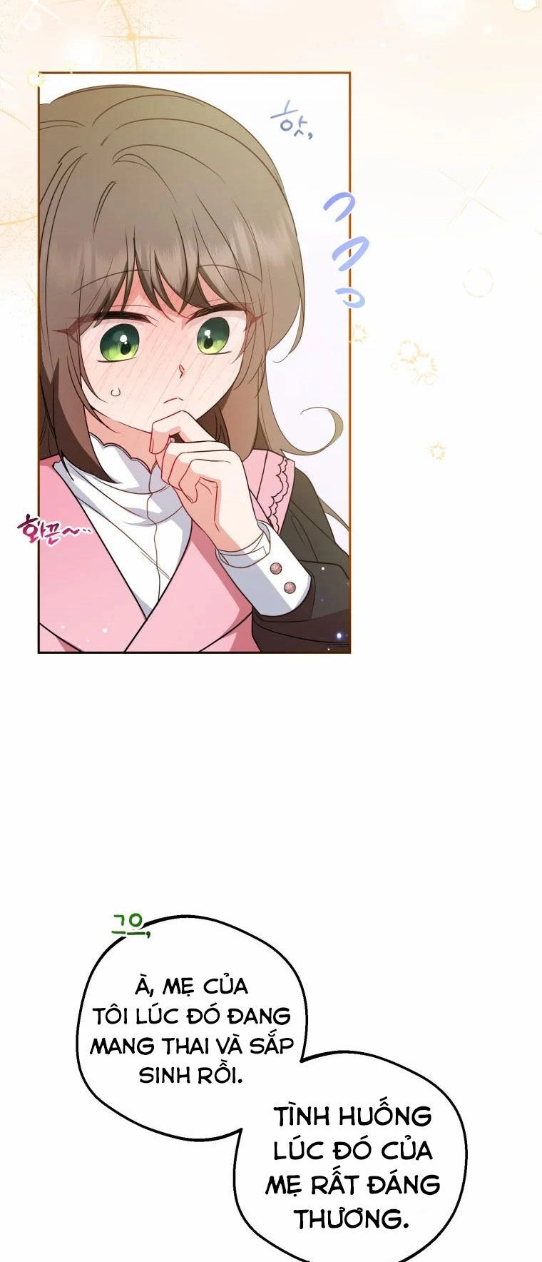 Khi Ác Nữ Phản Diện Được Yêu Chapter 29 - 29