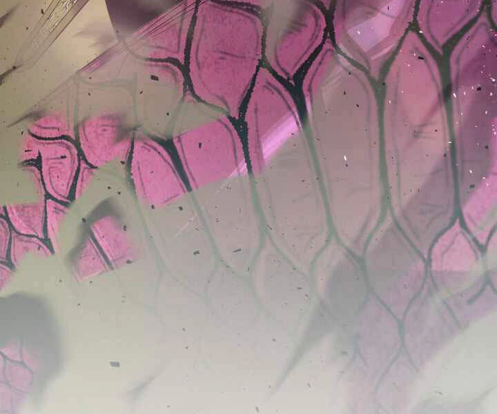 Thăng Cấp Cùng Thần Chapter 34 - 12