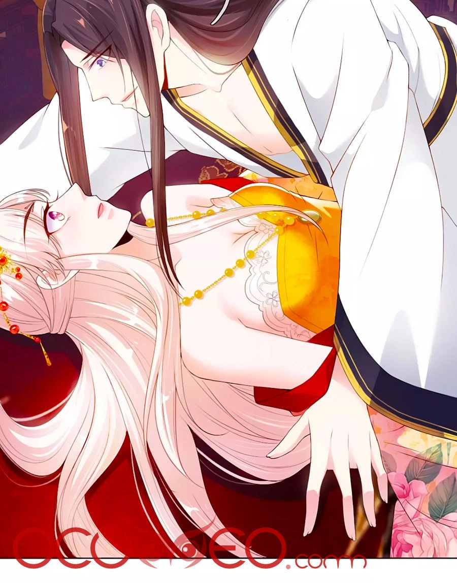 Ôn Nhu Bạo Quân: Nhiếp Chính Vương Gia Quá Hung Mãnh Chapter 4 - 24