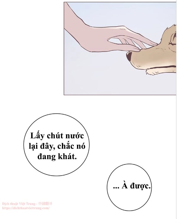 Yêu Trong Giam Cầm Chapter 47 - 11