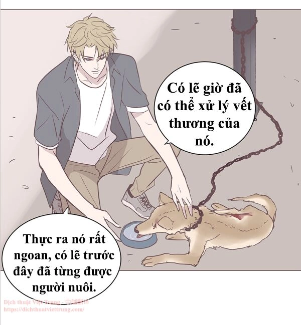 Yêu Trong Giam Cầm Chapter 47 - 12