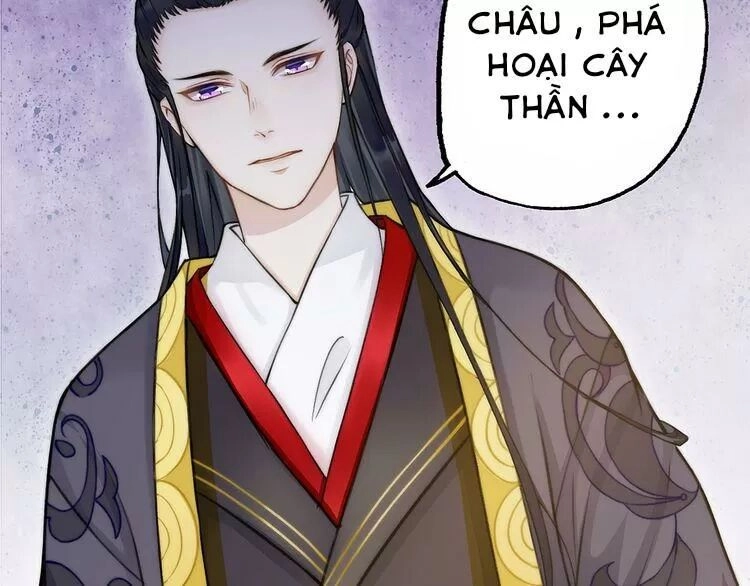 Luôn Có Điêu Dân To Gan Muốn Hại Trẫm Chapter 1 - 69