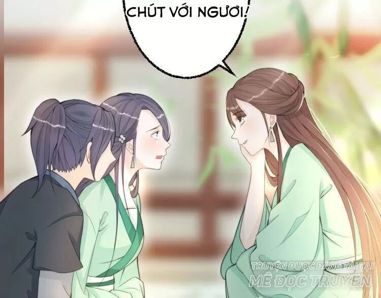 Luôn Có Điêu Dân To Gan Muốn Hại Trẫm Chapter 5 - 41