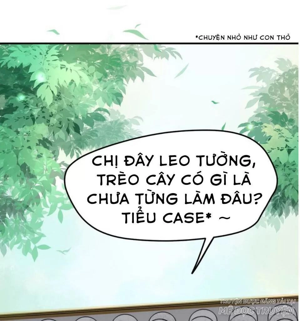 Luôn Có Điêu Dân To Gan Muốn Hại Trẫm Chapter 15 - 42