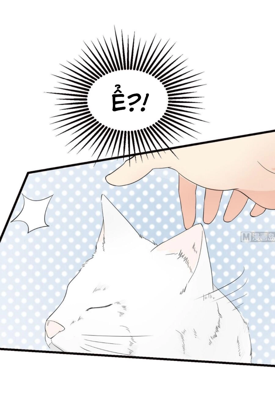 Hắn Là Long Ngạo Thiên Chapter 37 - 18