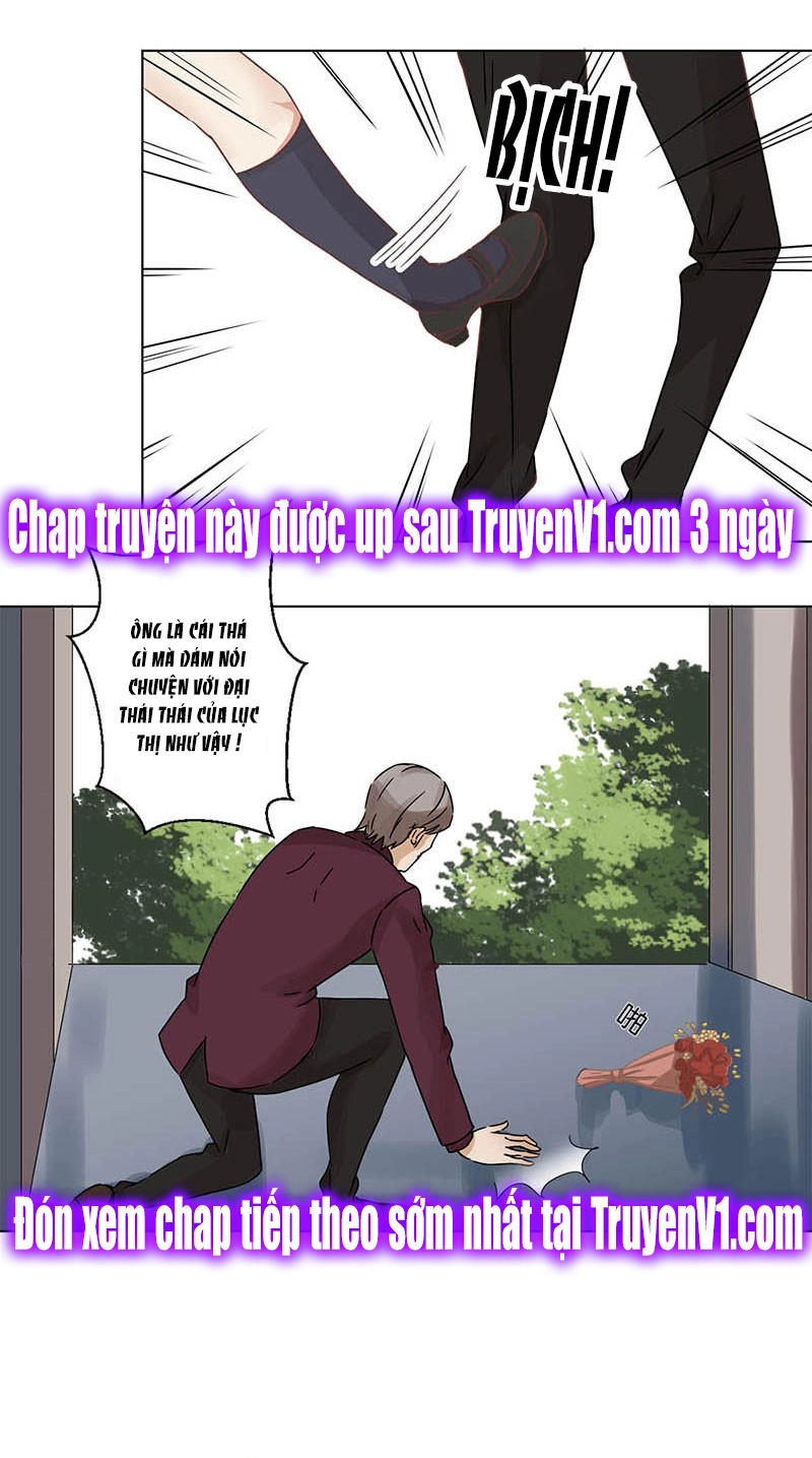 Trọng Sinh Chi Hao Môn Cường Thế Quy Lai Chapter 8 - 20