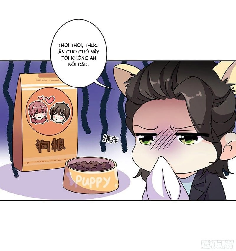 Trọng Sinh Chi Hao Môn Cường Thế Quy Lai Chapter 135 - 6