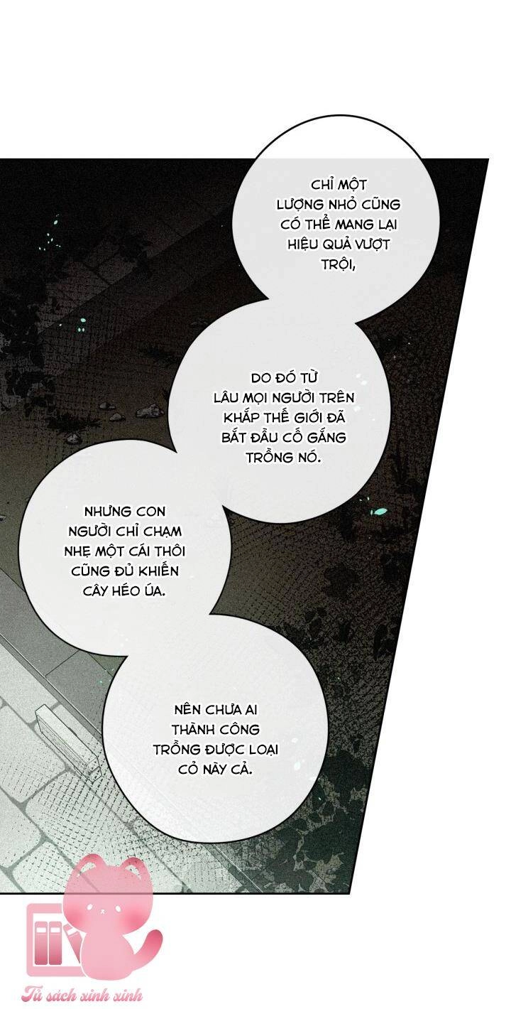 Hoàng Nữ Tóc Đen Chapter 49 - 13