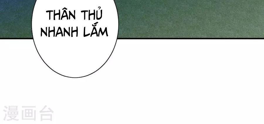 Hộ Hoa Cao Thủ Tại Đô Thị Chapter 70 - 15