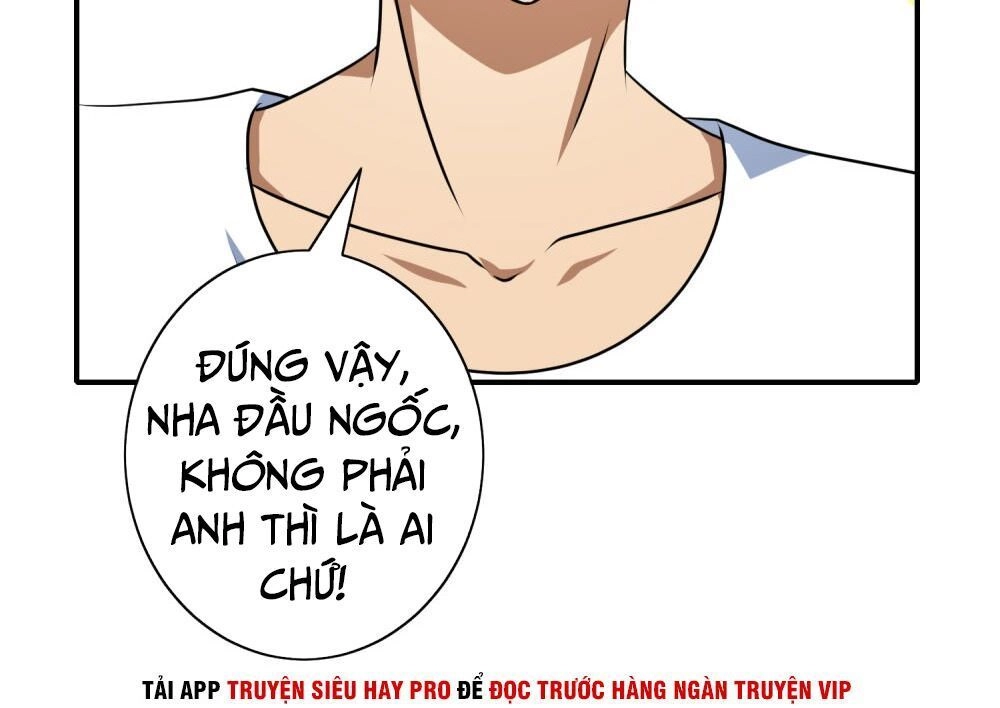 Hộ Hoa Cao Thủ Tại Đô Thị Chapter 115 - 26