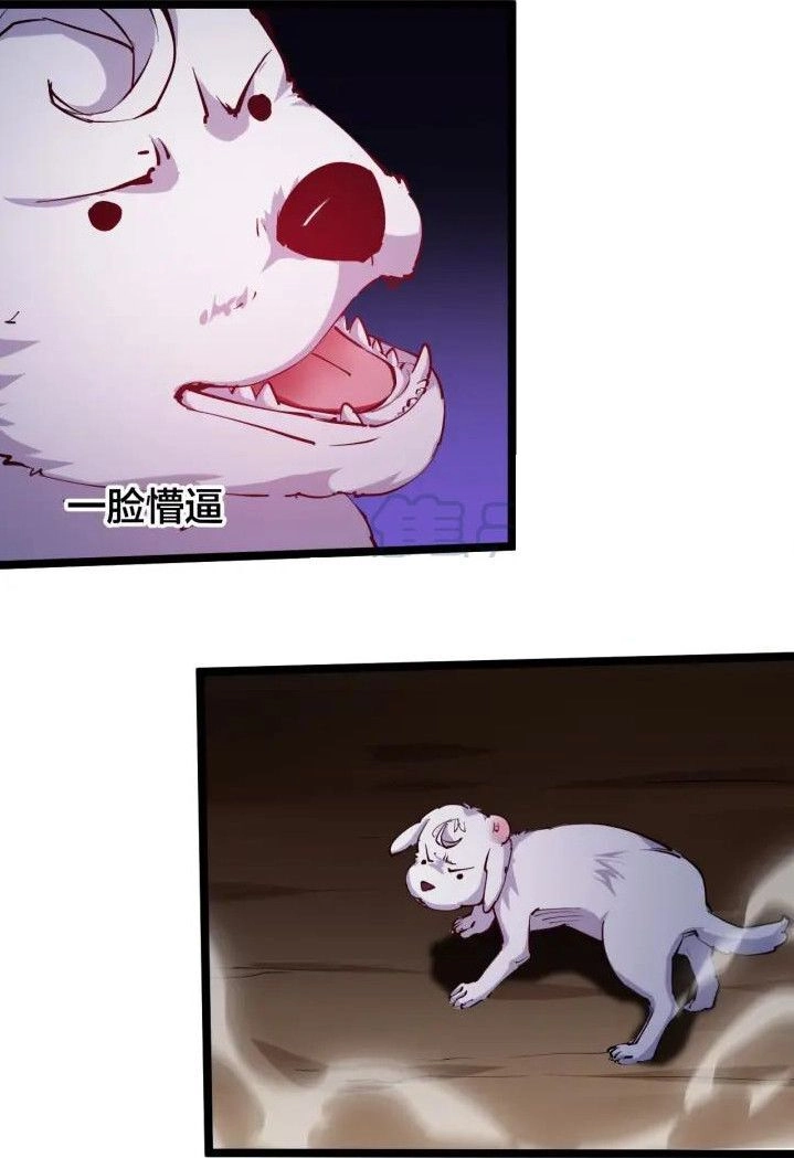 Ngự Thiên Thần Đế Chapter 67 - 10