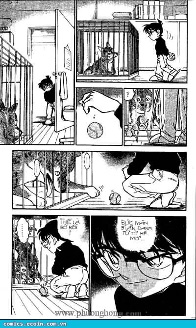 Thám Tử Conan Chapter 333 - 11