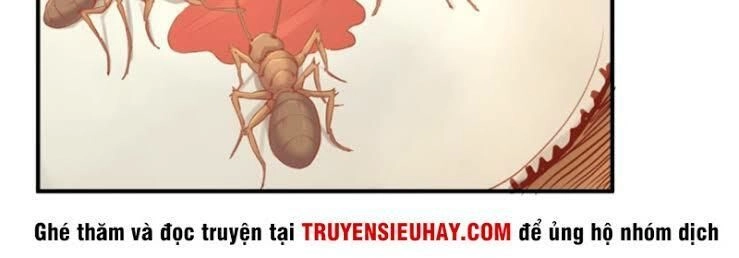 Bác Sĩ Riêng Của Nữ Thần Chapter 14 - 4