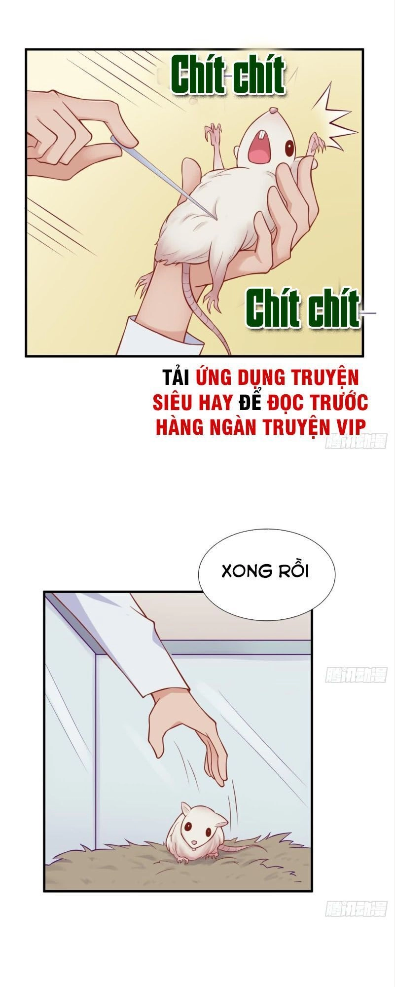 Bác Sĩ Riêng Của Nữ Thần Chapter 104 - 8