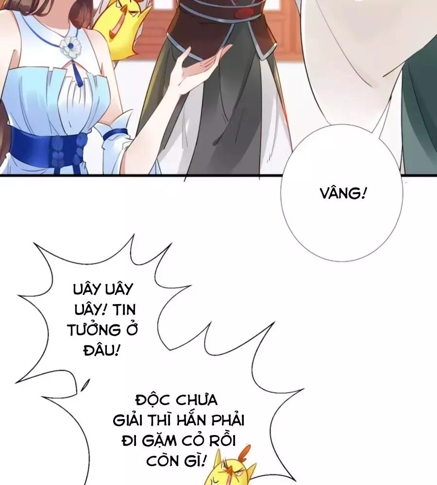 Vương Phi Có Chút Nghịch Ngợm Chapter 65 - 62